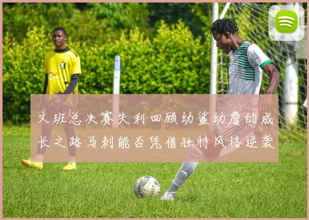 文班总决赛失利回顾幼鲨幼詹的成长之路马刺能否凭借独特风格逆袭成功