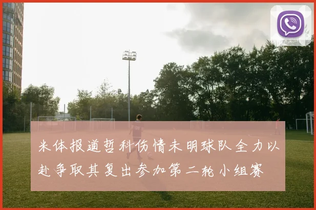 米体报道哲科伤情未明球队全力以赴争取其复出参加第二轮小组赛